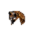 Casco